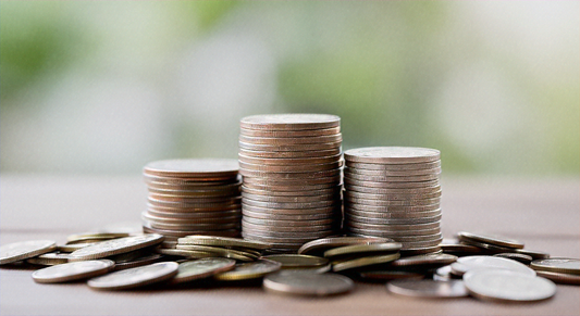 Fundraising in a Down Economy: Strategies for Success and Resilience In Brunswick County, NC