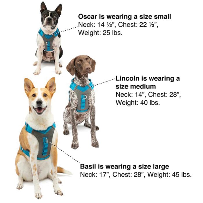 Kurgo - Journey Air Comfort Dog Harness