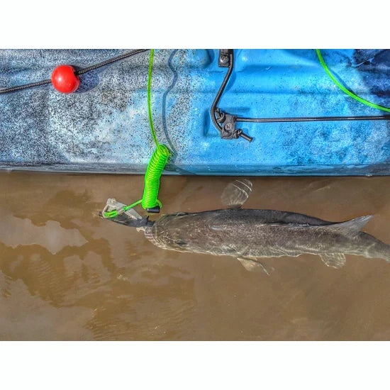 Cal Coast Fishing - Donkey Leash Kayak Fishing Culling Systems