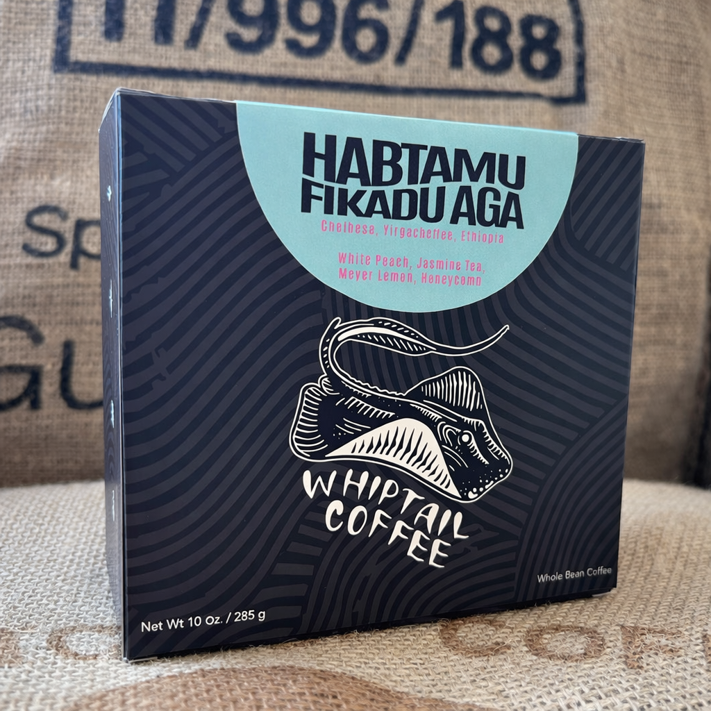 Whiptail Coffee - Ethiopia Chelbesa- Habtamu Fikadu Aga Coffee