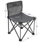 Alps Mountaineering - Aluminum Adventure Folding Beach Chair